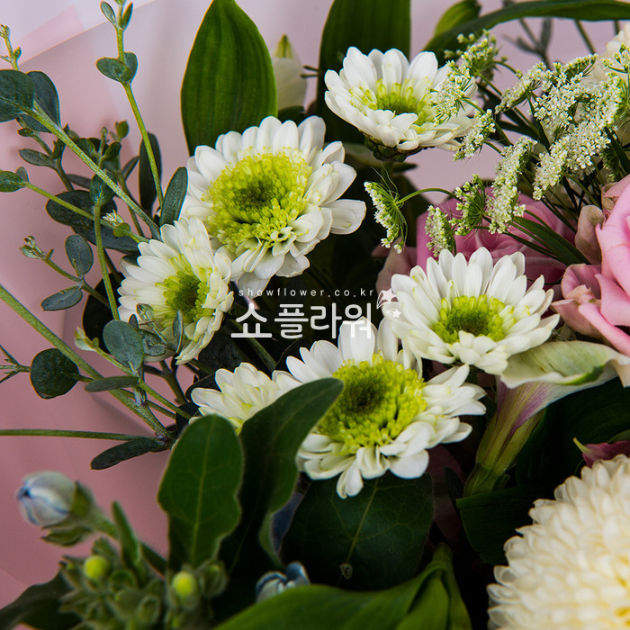 상세이미지