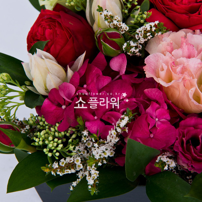 상세이미지