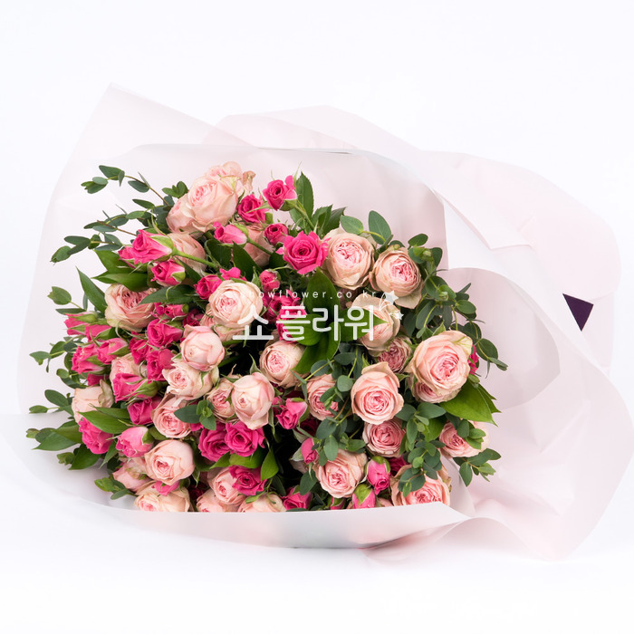 상세이미지