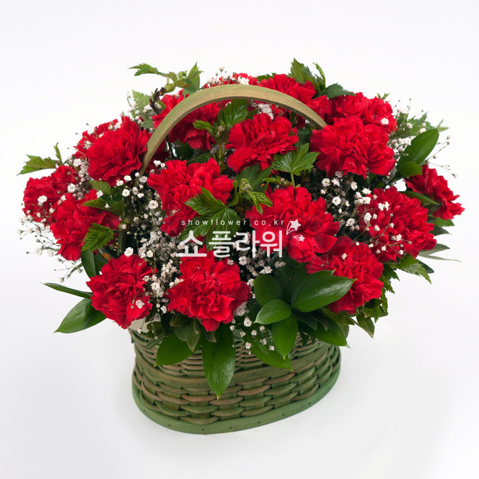 상세이미지