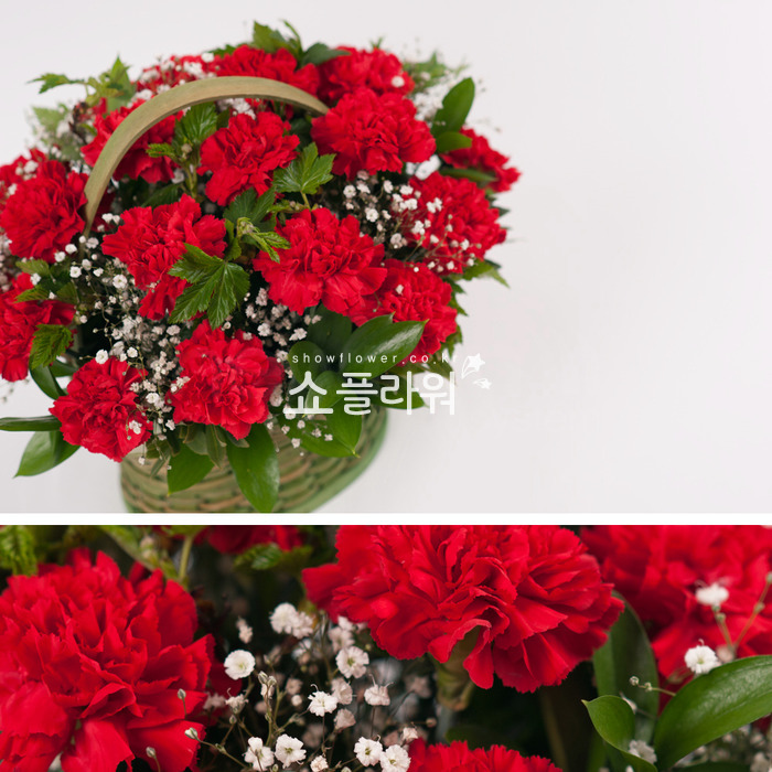 상세이미지