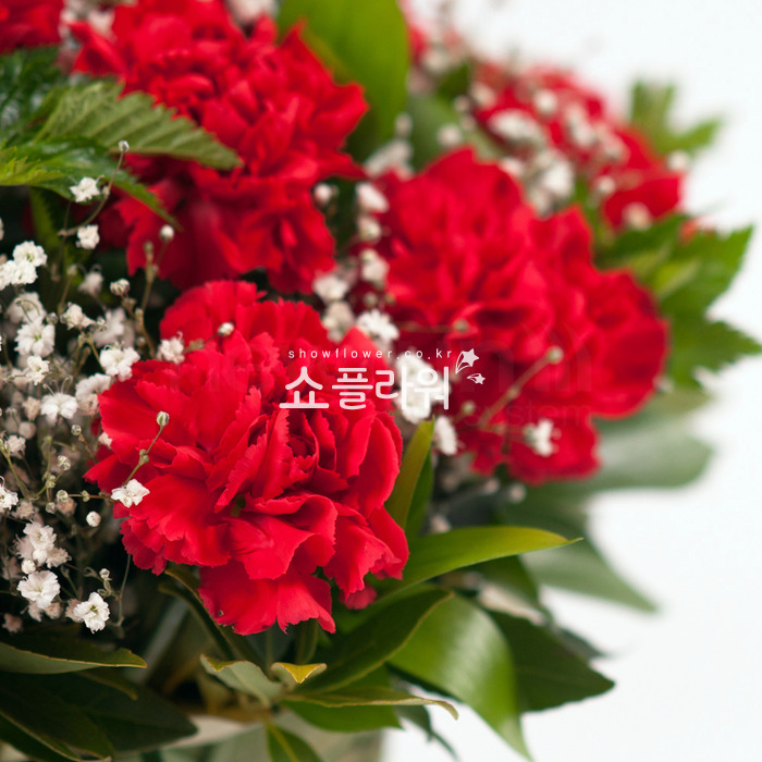 상세이미지