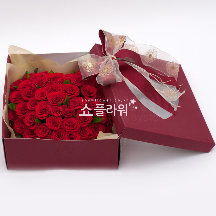 상세이미지