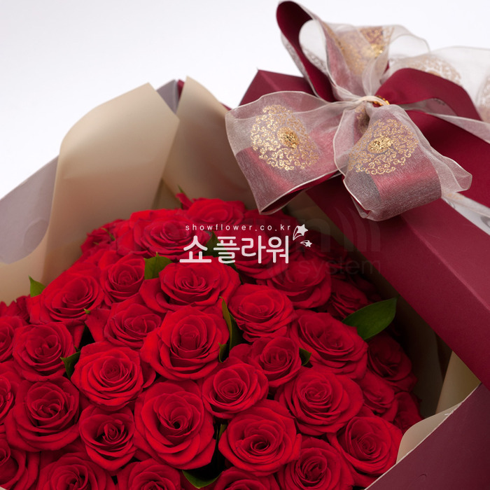 상세이미지
