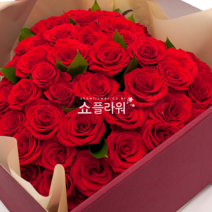 상세이미지