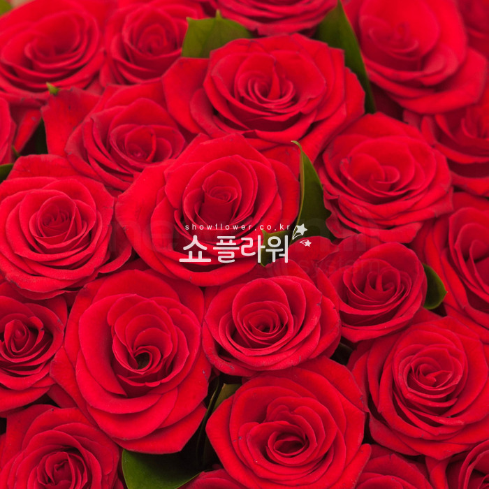 상세이미지