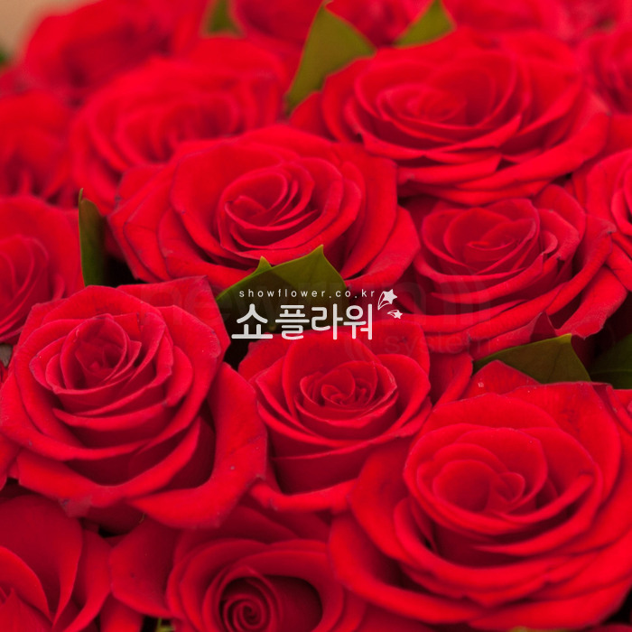 상세이미지
