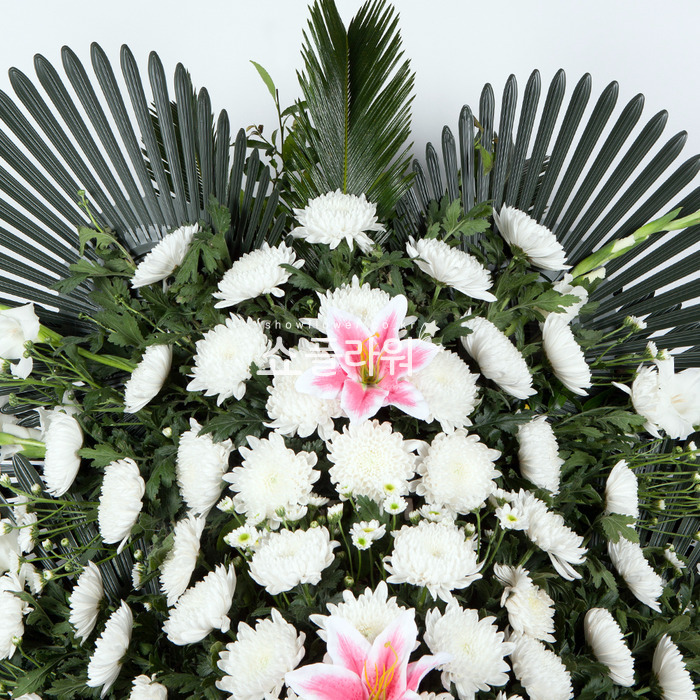 상세이미지