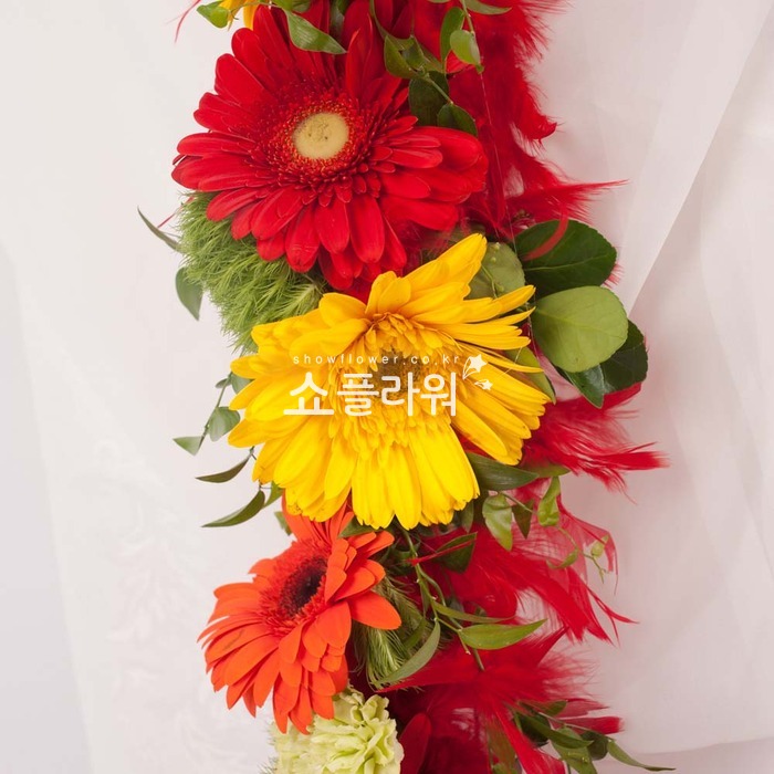 상세이미지