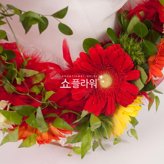 상세이미지