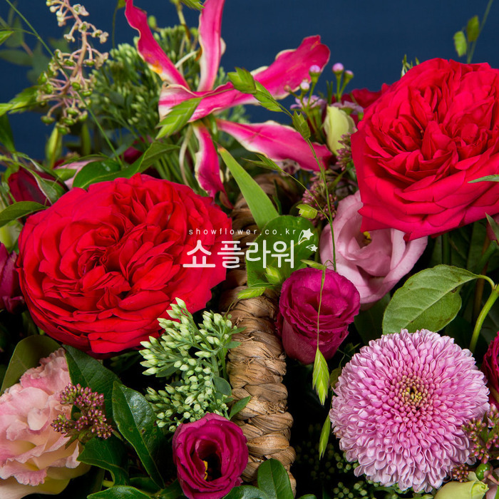 상세이미지
