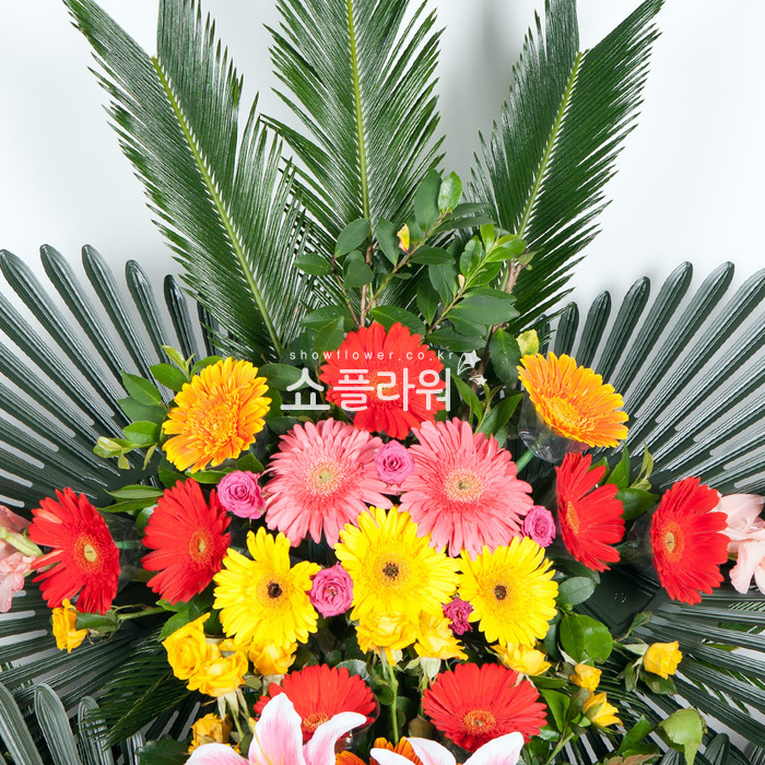 상세이미지