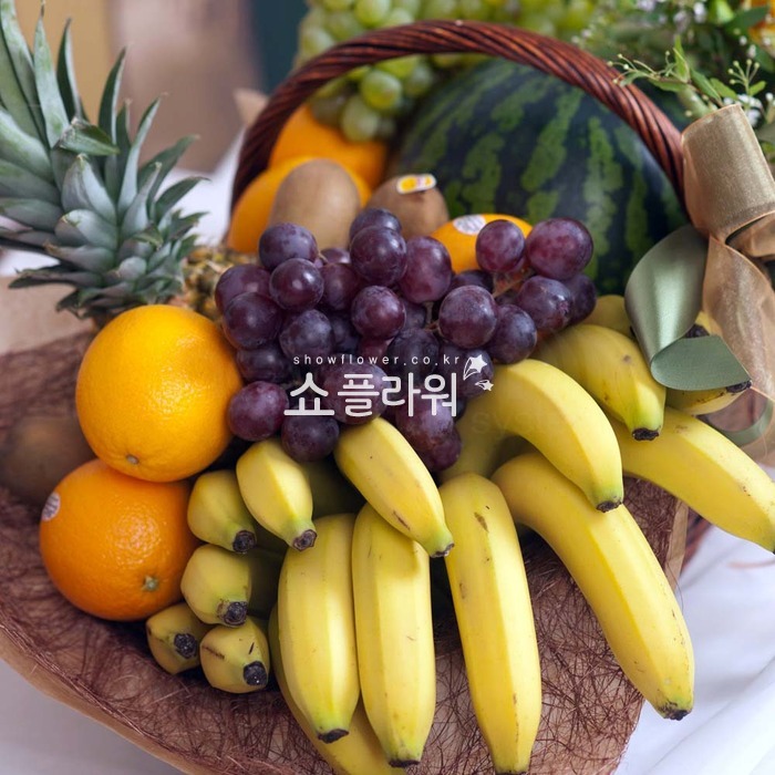 상세이미지