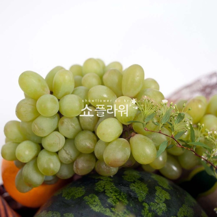 상세이미지