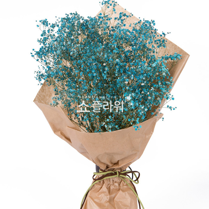 상세이미지