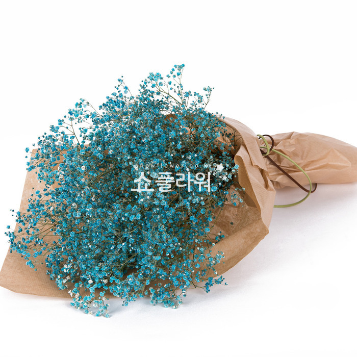 상세이미지