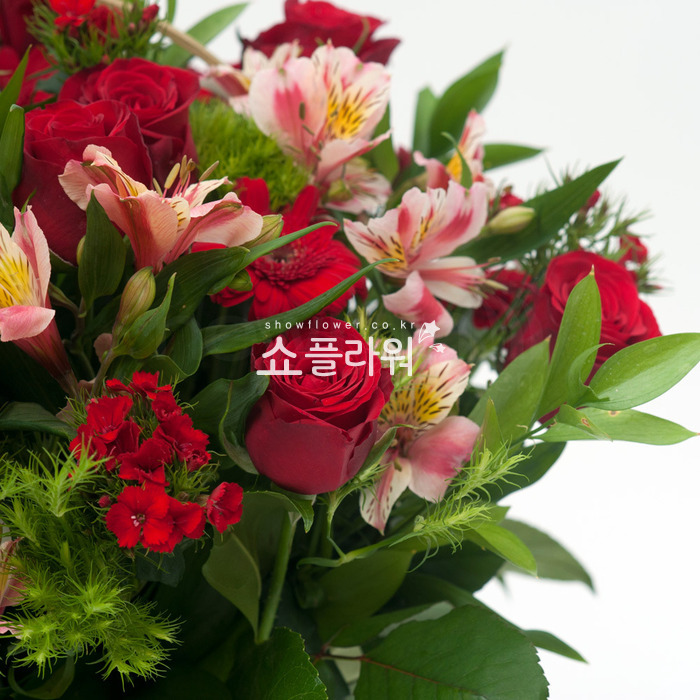 상세이미지