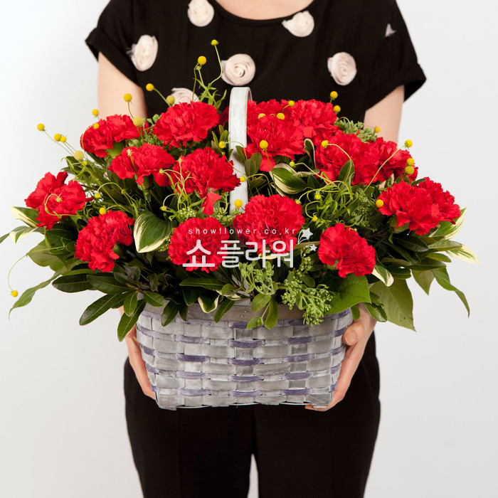 상세이미지