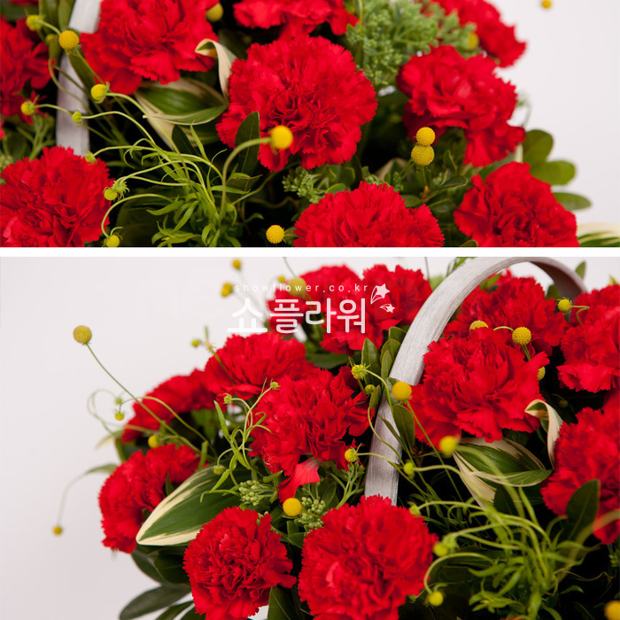 상세이미지