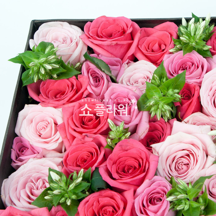 상세이미지
