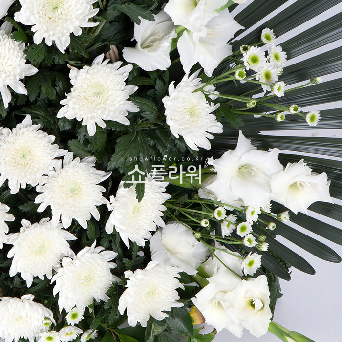 상세이미지