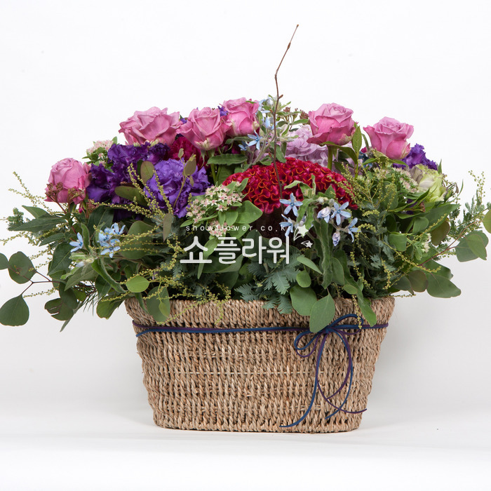 상세이미지