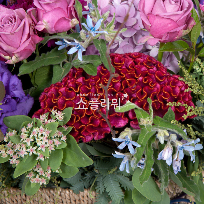 상세이미지