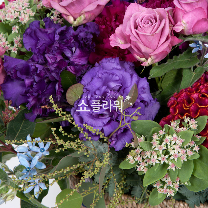 상세이미지