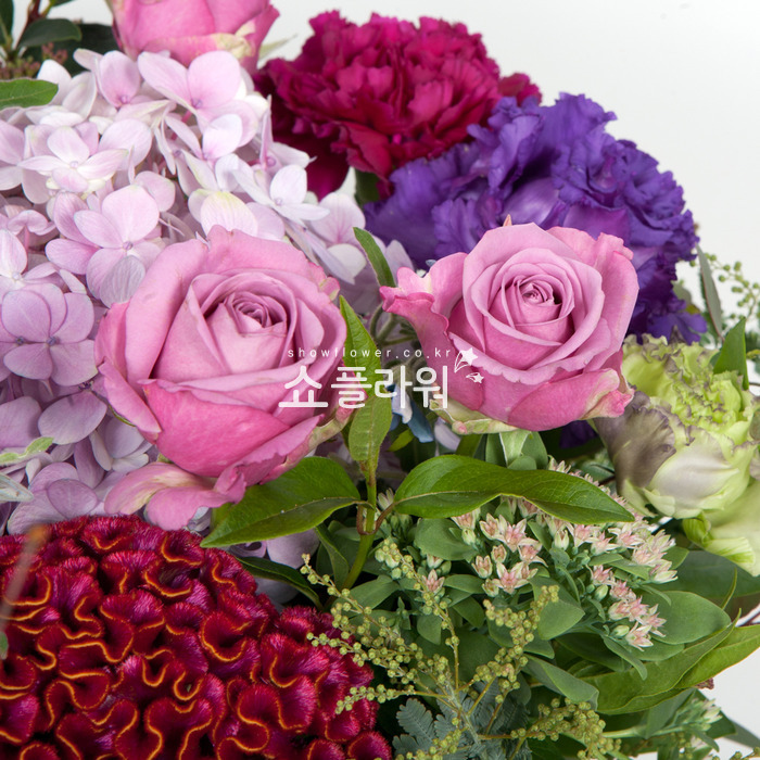 상세이미지