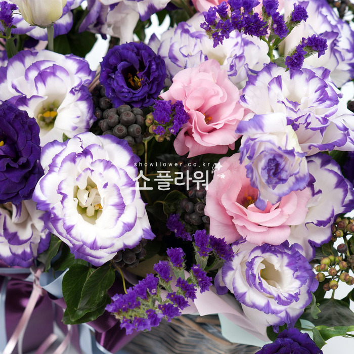 상세이미지