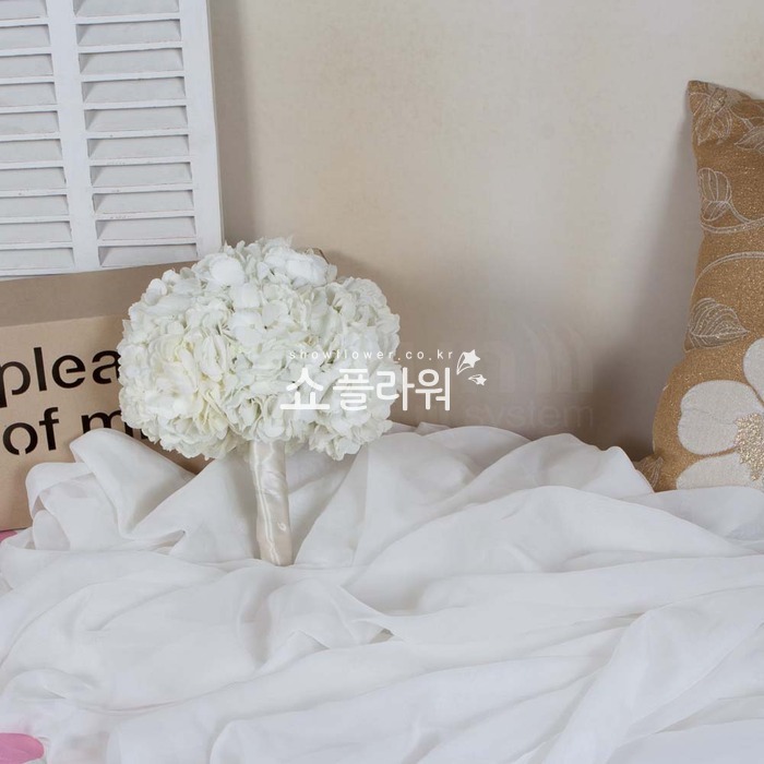 상세이미지