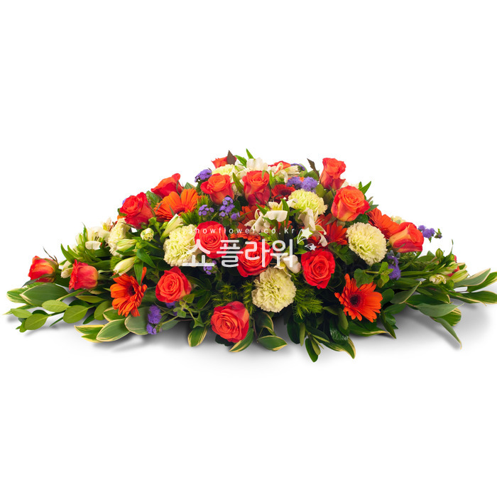 상세이미지
