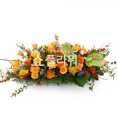 유색계열사방화