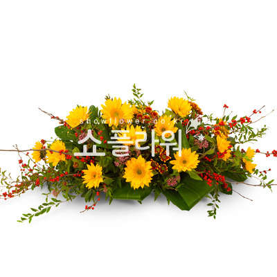 사방화1010