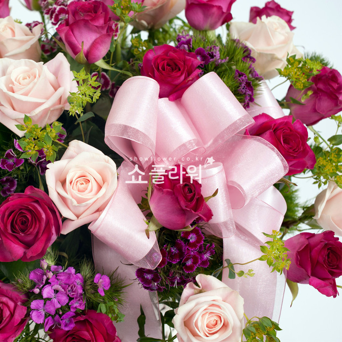 상세이미지