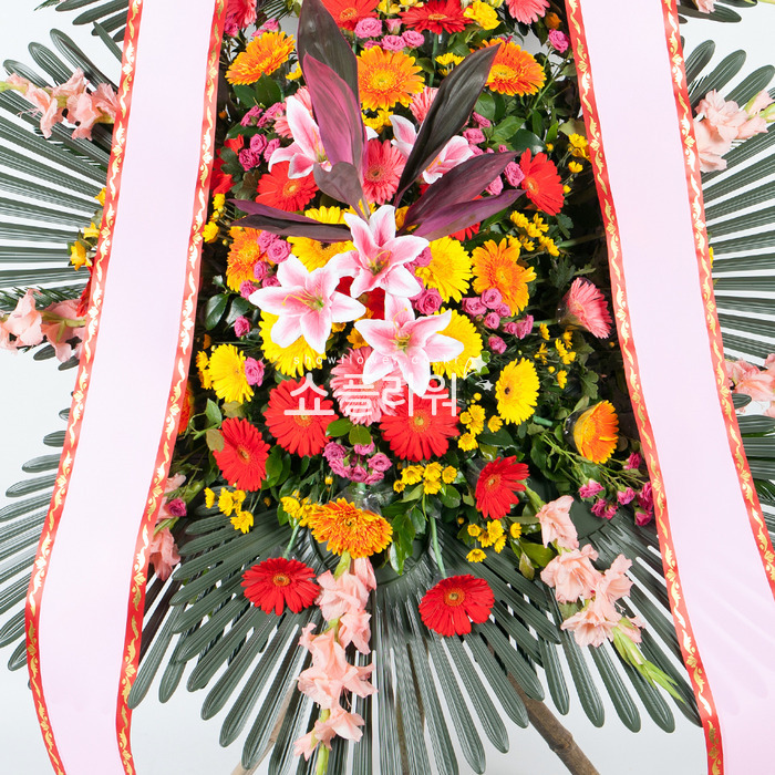 상세이미지