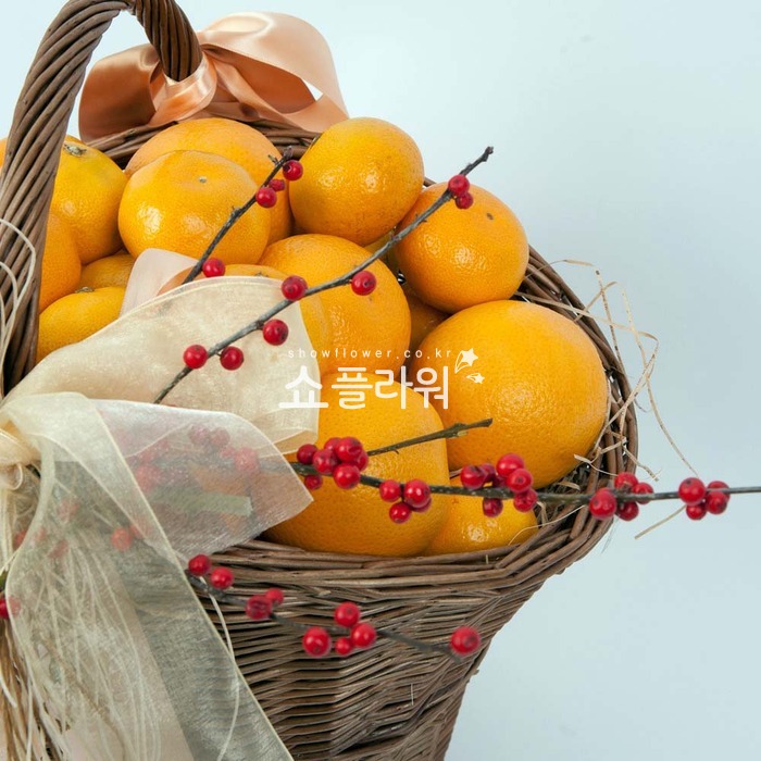 상세이미지