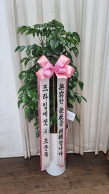 황도* 님 앞으로 배송된 상품입니다.