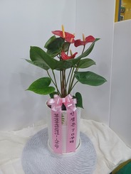 이예* 님 앞으로 배송된 상품입니다.