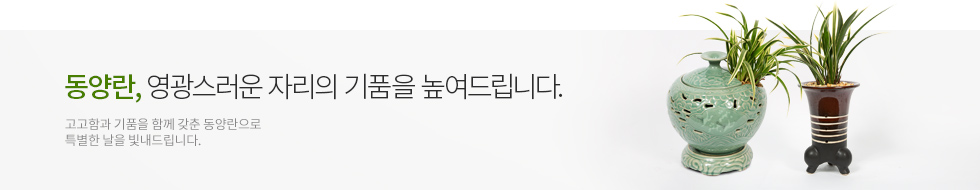 동양란